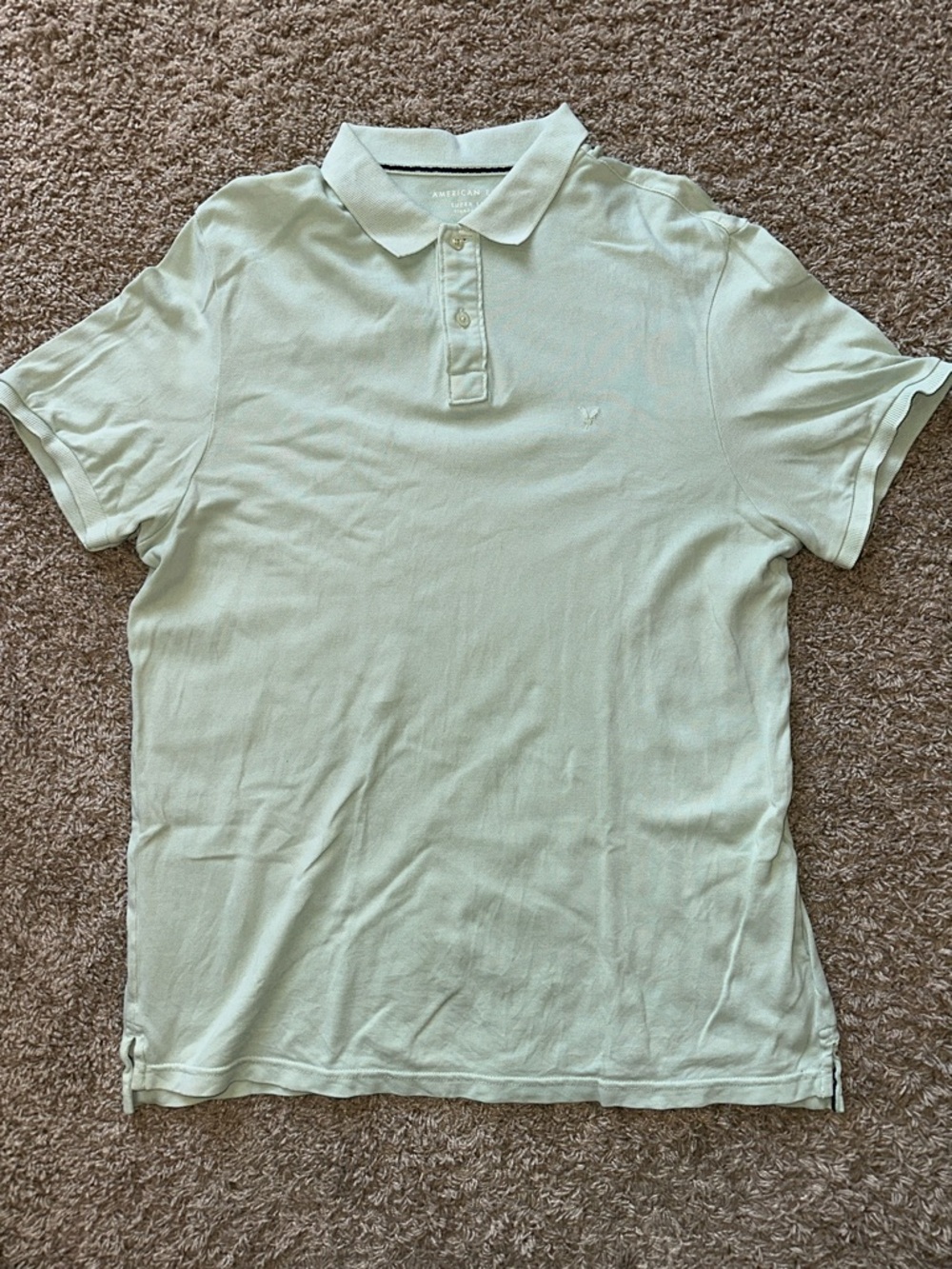 Men's Classic Polo Shirt in Light Sage